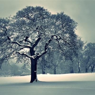 澳门新莆京游戏大厅下载手机版截图